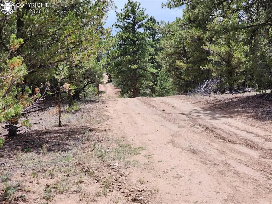 000 7th Trail, Cotopaxi, CO 81223 - #2