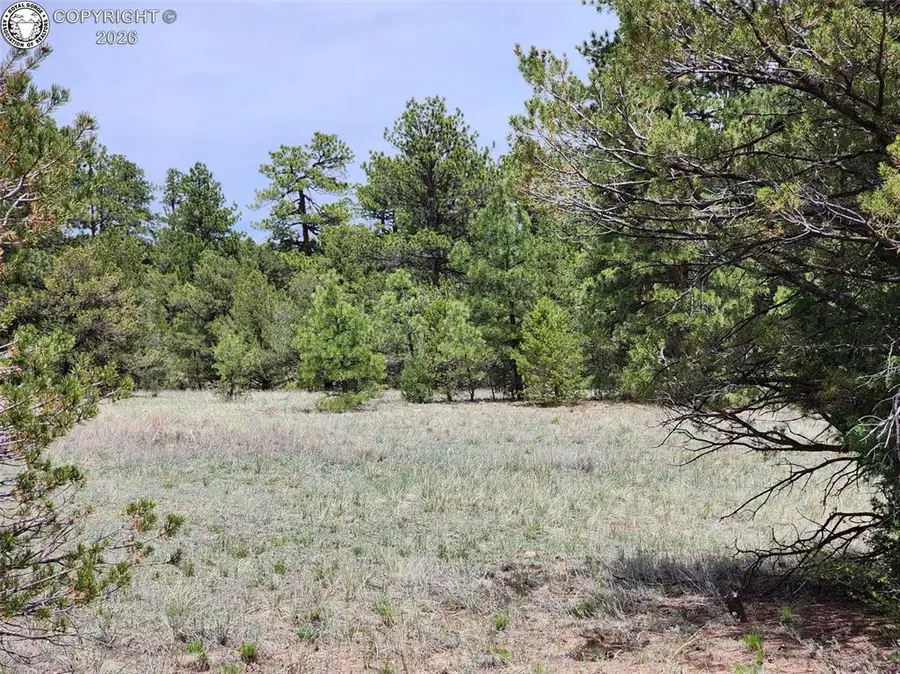 000 7th Trail, Cotopaxi, CO 81223 - #3