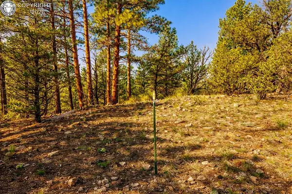 TBD L 10th Trail, Cotopaxi, CO 81223