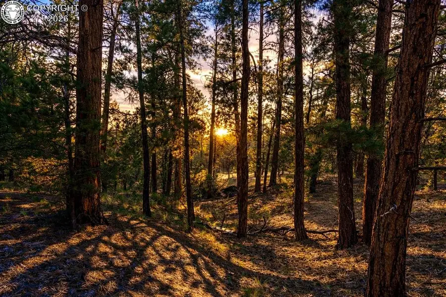 TBD L 10th Trail, Cotopaxi, CO 81223 - #2