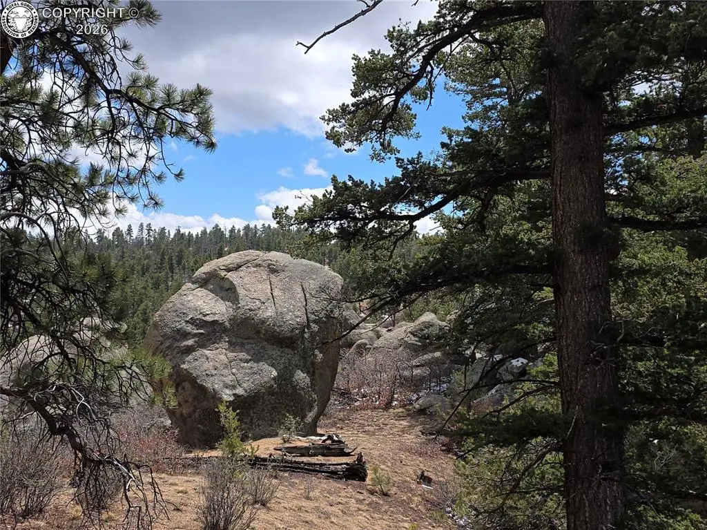 173 Homestead Road, Cotopaxi, CO 81223 - #1