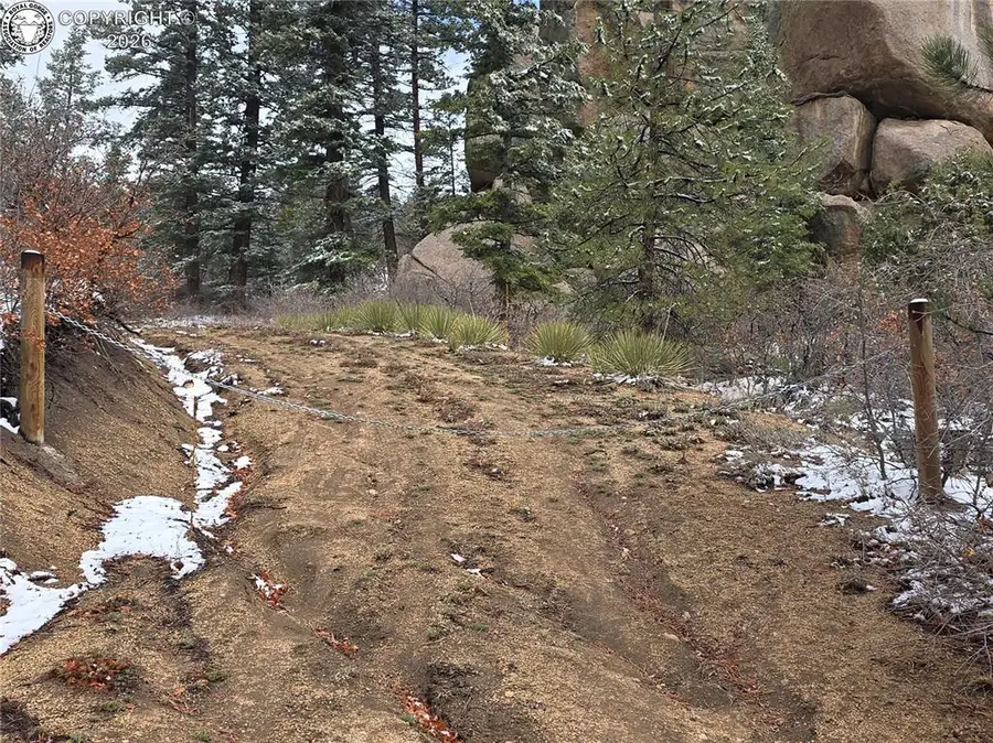 173 Homestead Road, Cotopaxi, CO 81223 - #3