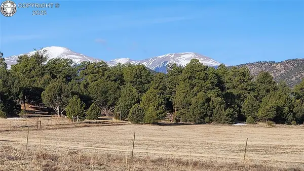 TR-36 23rd Trail, Cotopaxi, CO 81223