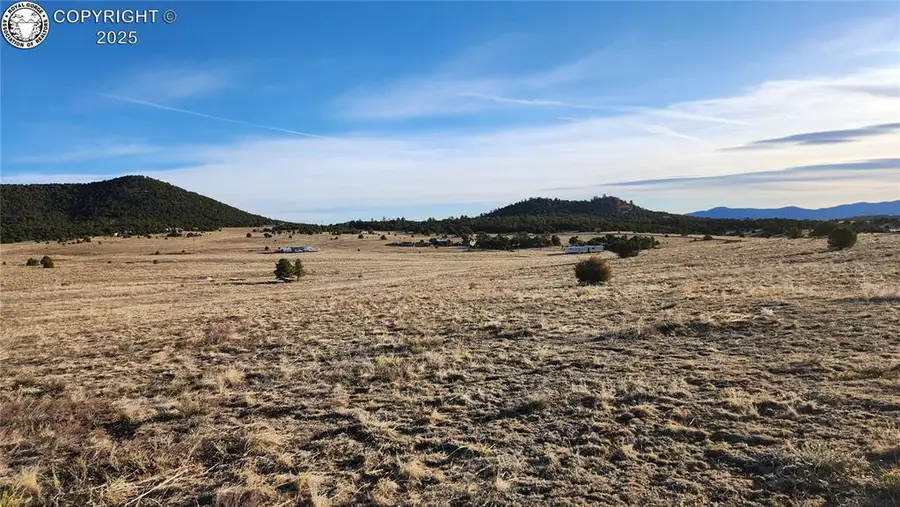 TR-36 23rd Trail, Cotopaxi, CO 81223 - #2