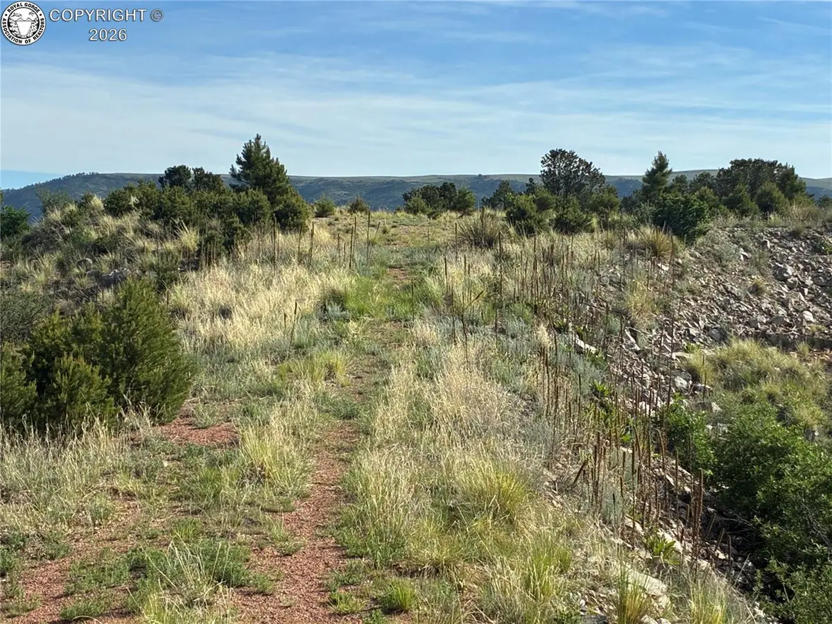 TBD Chris Crossover Drive, Canon City, CO 81212 - #1