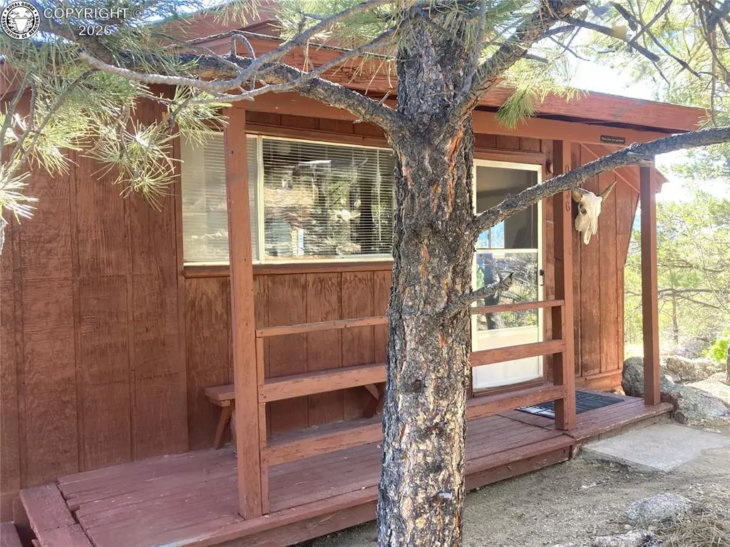 136 Burnt Timber Circle, Cotopaxi, CO 81223 - #1