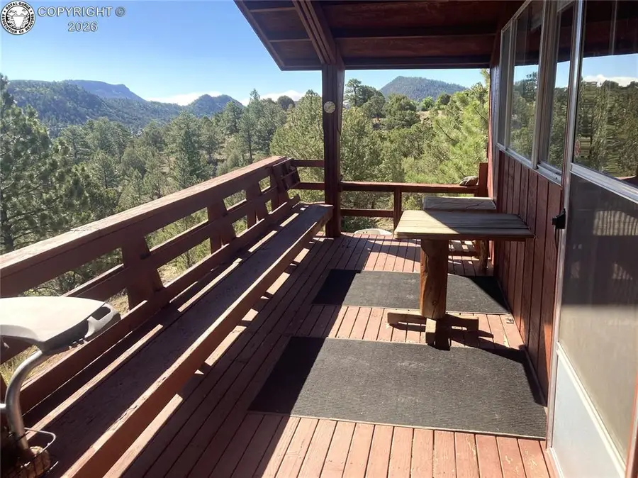 136 Burnt Timber Circle, Cotopaxi, CO 81223 - #3