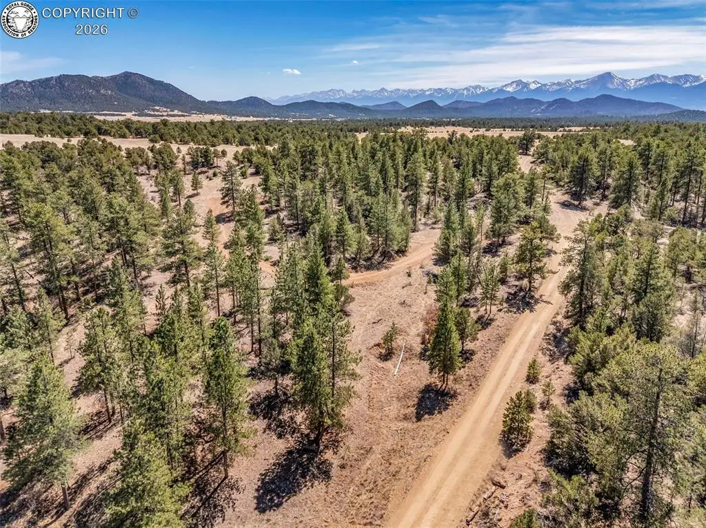 69 Coyote Run, Cotopaxi, CO 81223 - #1