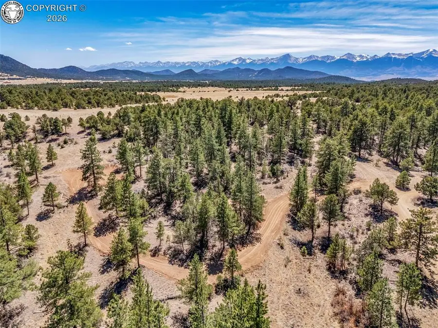 69 Coyote Run, Cotopaxi, CO 81223 - #3