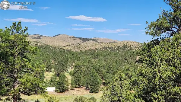 TBD L 43rd Trail, Cotopaxi, CO 81223