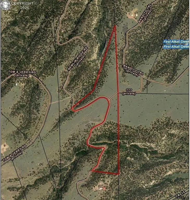 TBD L4A Newlin Ridge Road, Florence, CO 81226 - #2