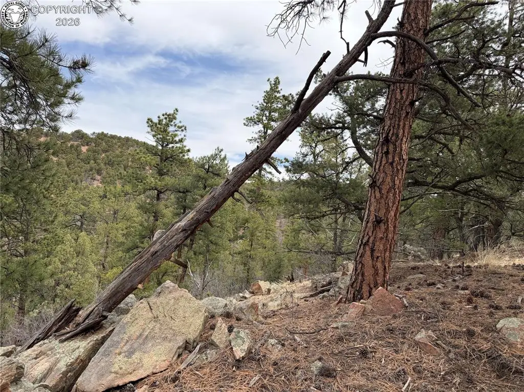 672 Coyote Trail, Cotopaxi, CO 81223 - #1