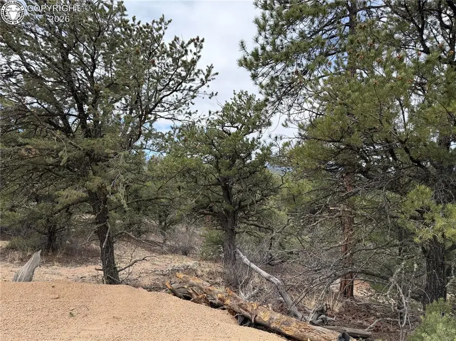 672 Coyote Trail, Cotopaxi, CO 81223 - #2