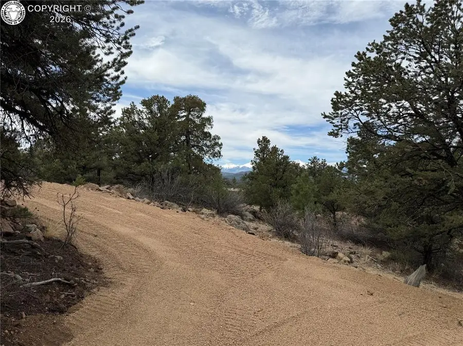 672 Coyote Trail, Cotopaxi, CO 81223 - #3