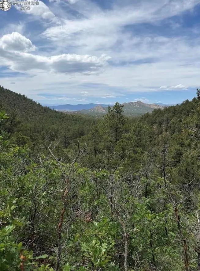 000 13th Trail, Cotopaxi, CO 81223 - #1