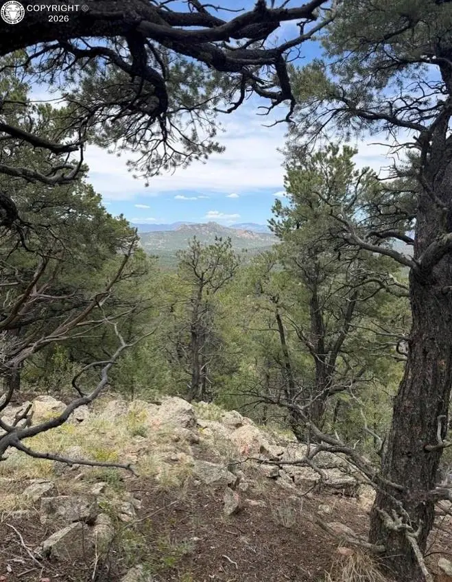 000 13th Trail, Cotopaxi, CO 81223 - #2