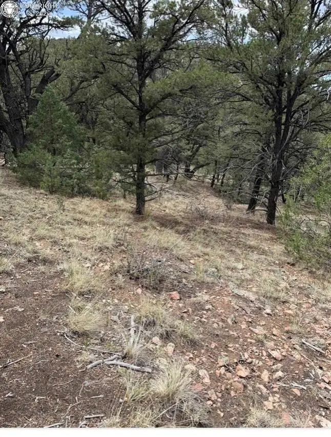 000 13th Trail, Cotopaxi, CO 81223 - #3