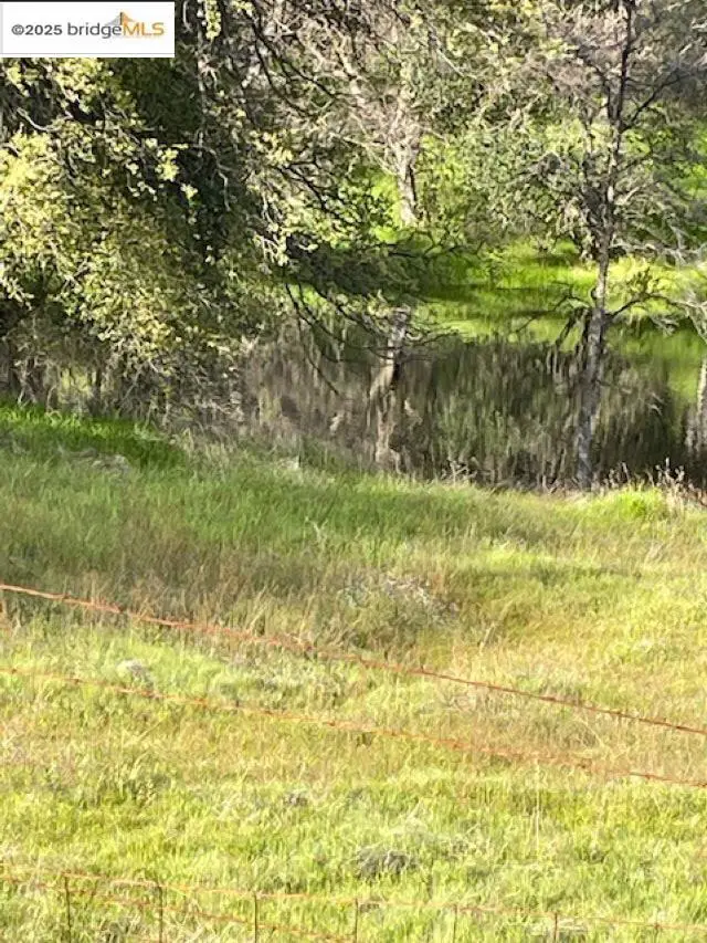 10404 State Highway 49, Coulterville, CA 95311 - #2