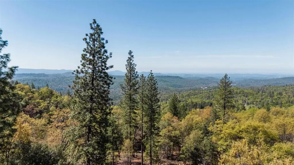 23385 Pack Trail, Sonora, CA 95370 - #1