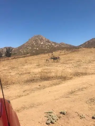 1 Cantarini Road, Moreno Valley, CA 92557 - #1