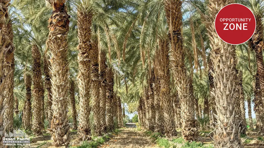 0 Swc Pierce St & Ave 58, Thermal, CA 92274 - #1