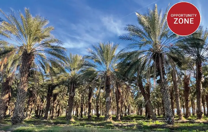 0 Nwc Pierce St & Ave 64, Thermal, CA 92274 - #1