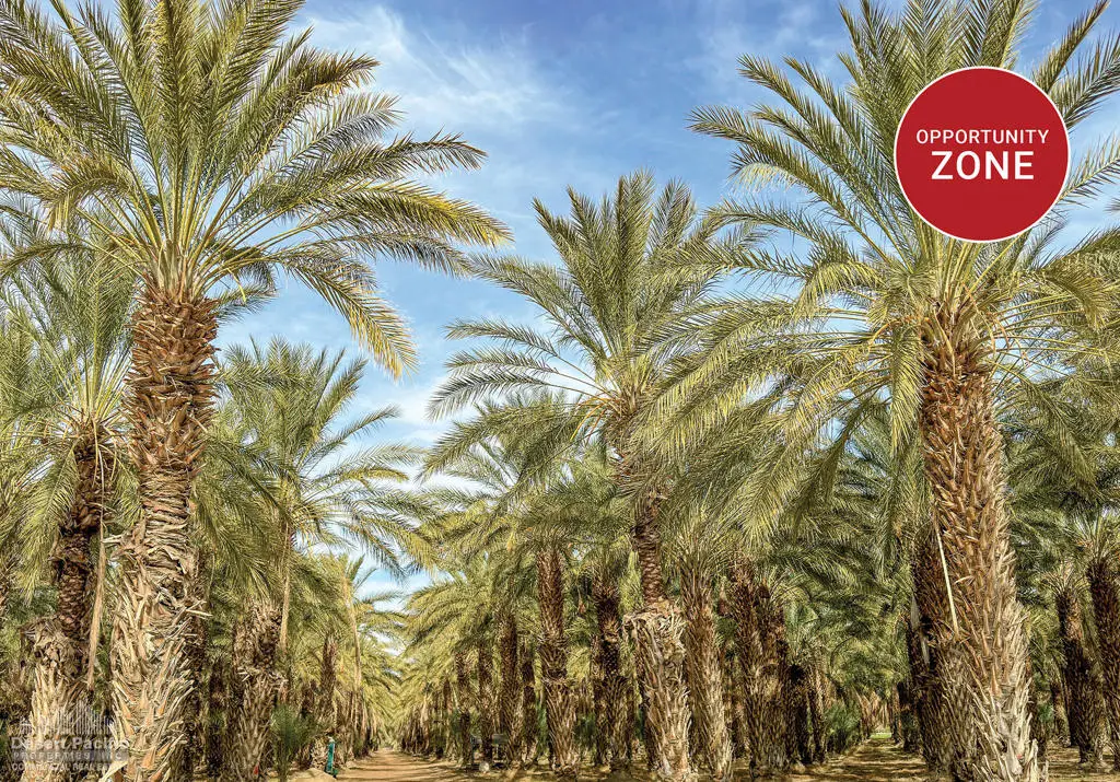 0 N Ave 62 & Pierce St, Thermal, CA 92274 - #1