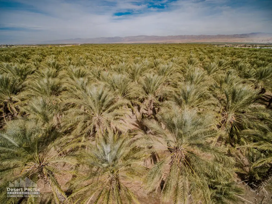 0 N Ave 62 & Pierce St, Thermal, CA 92274 - #3