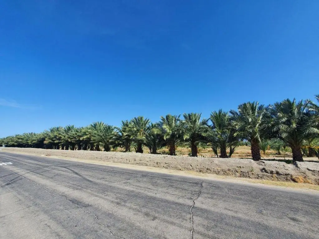 0 Calhoun Street, Coachella, CA 92236 - #1