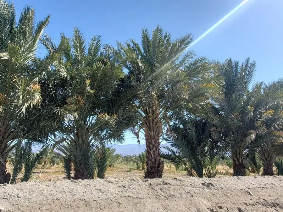 0 Calhoun Street, Coachella, CA 92236 - #2