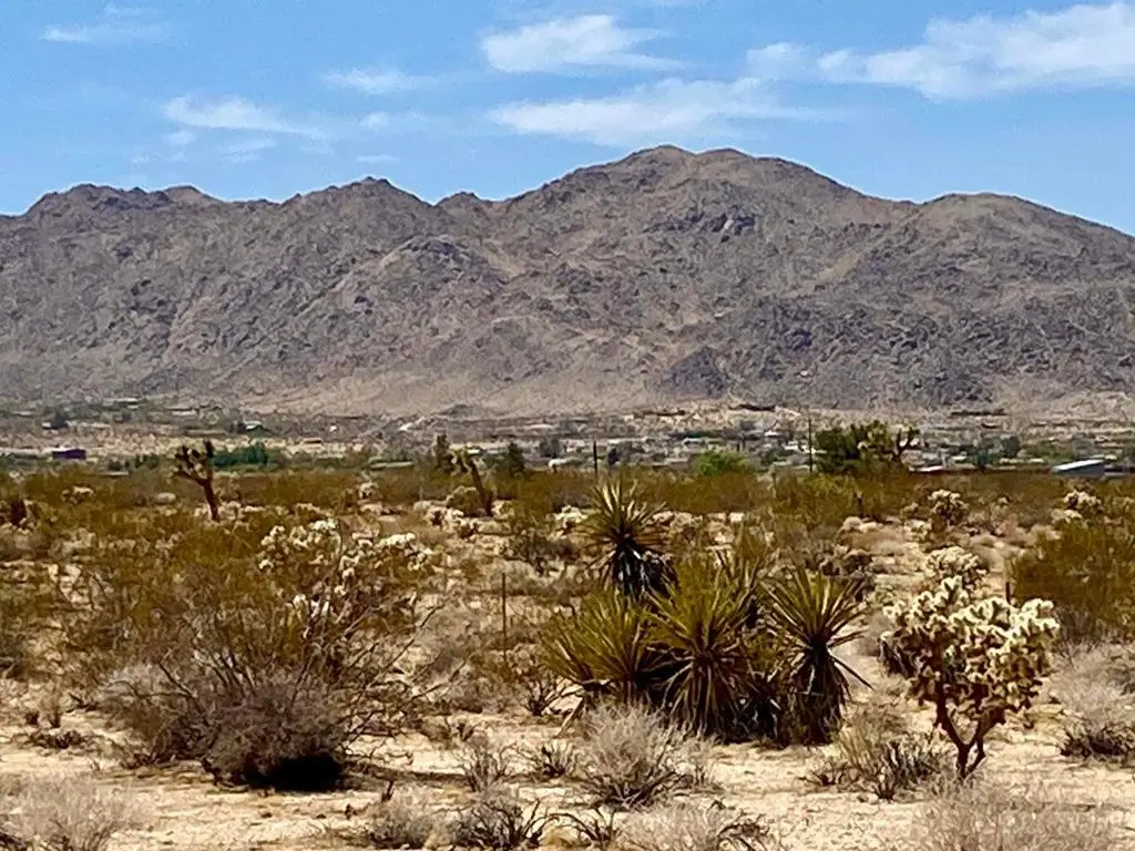 117 Border Road, Joshua Tree, CA 92252 - #1