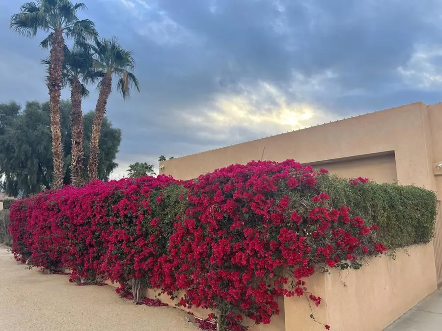 44755 Deep Canyon Road, Palm Desert, CA 92260 - Image #2