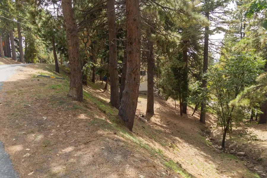 0 Circle View Dr, Running Springs, CA 92382 - #2