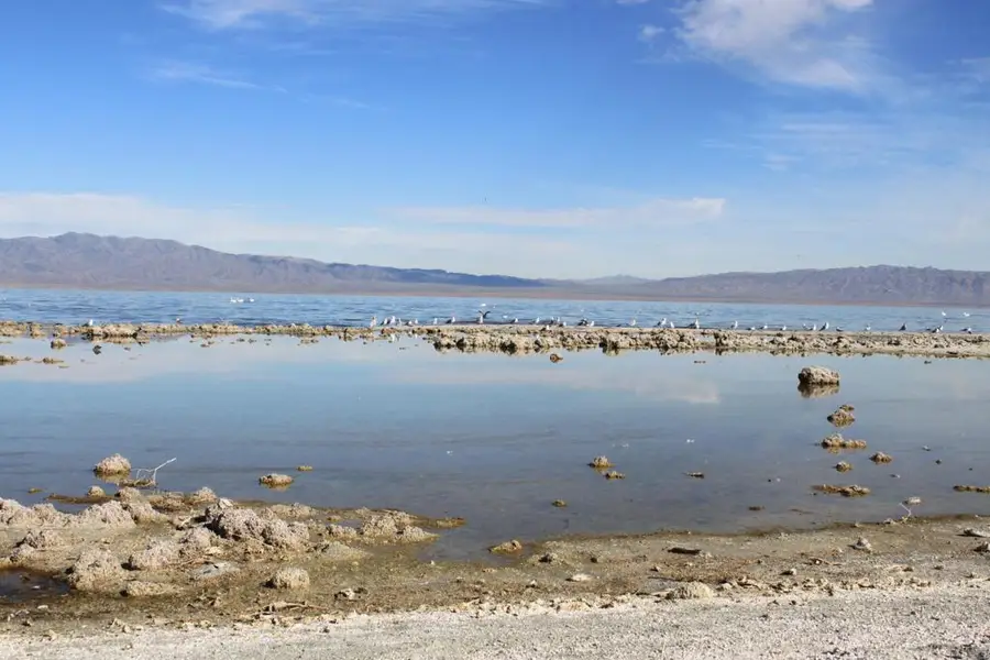 2467 Sea Gull Avenue, Thermal, CA 92274 - #3