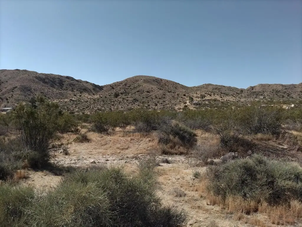 Canyon Rd Canyon Road, Morongo Valley, CA 92256 - #1