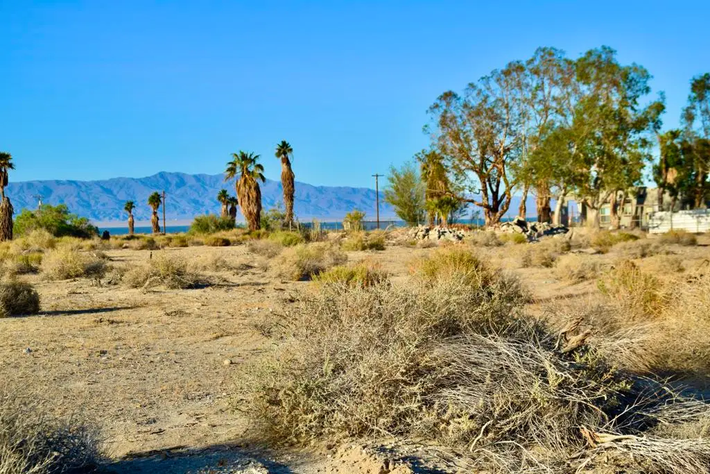 1372 Sandalwood Street, Thermal, CA 92274 - #1