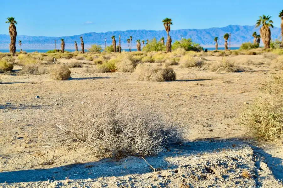 1372 Sandalwood Street, Thermal, CA 92274 - #2