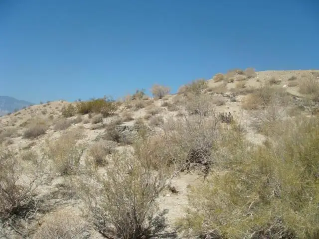 0 Calle De Vecinos, Desert Hot Springs, CA 92240 - #2