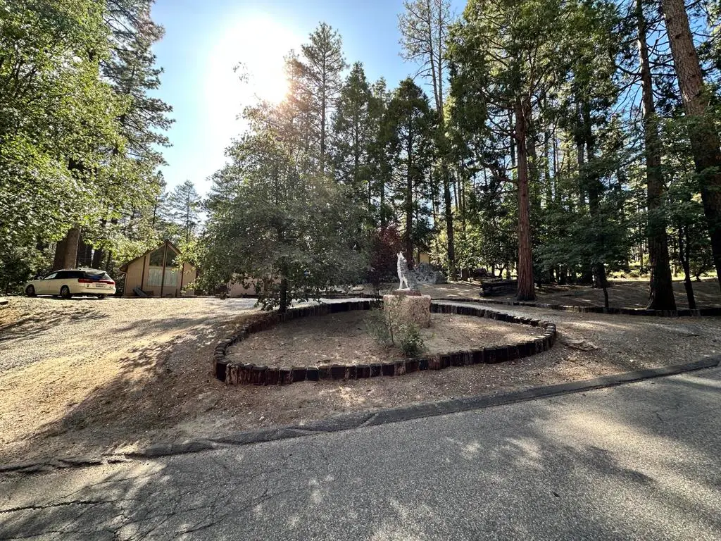 26305 Delano Drive, Idyllwild, CA 92549 - #1