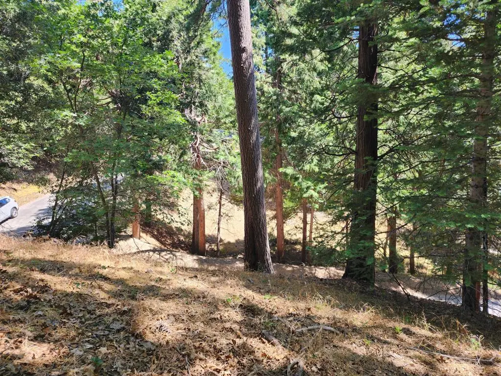 0 Edelweiss Drive, Crestline, CA 92325 - #1