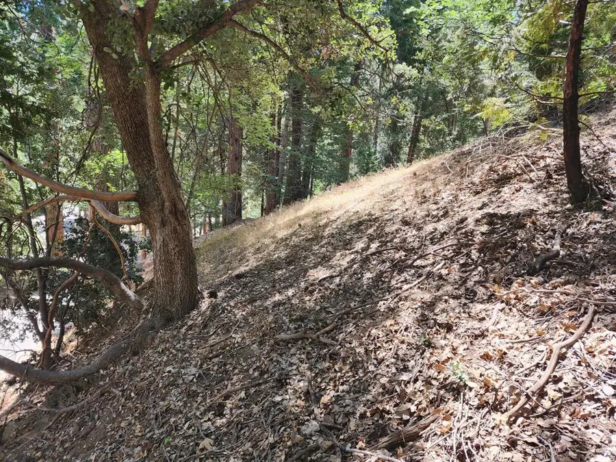 0 Edelweiss Drive, Crestline, CA 92325 - #3