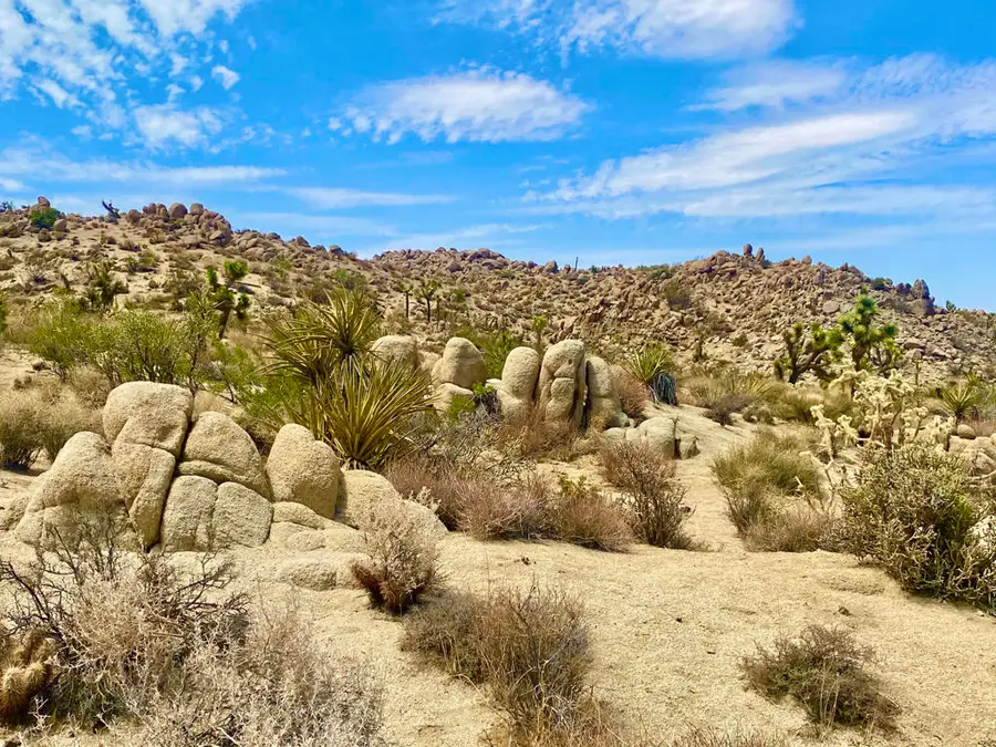 104 Bandera Road, Yucca Valley, CA 92284 - #3