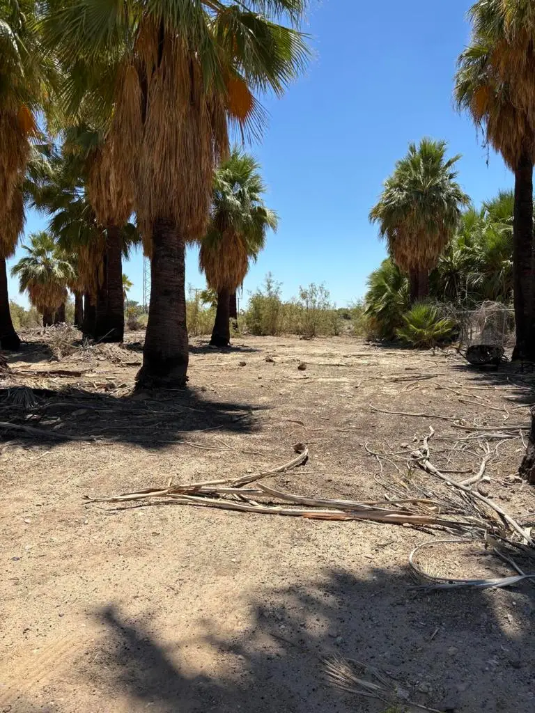51 4th St, Niland, CA 92257 - #1