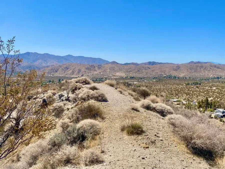 51170 Panorama Drive, Morongo Valley, CA 92256 - #2