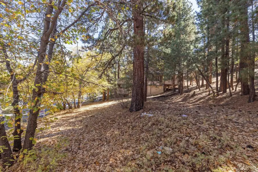 1409 Klamath Road, Big Bear City, CA 92314 - Image #3