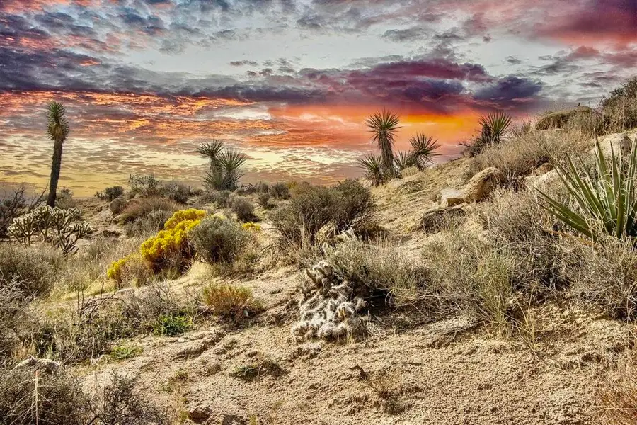 101 Nelson Road, Yucca Valley, CA 92284 - #2