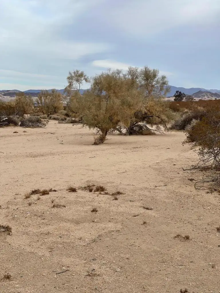 Canyon Road, Twentynine Palms, CA 92277 - #2