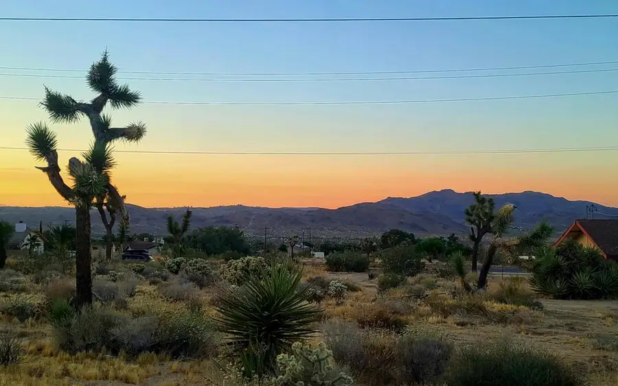 60307 Alta Loma Drive, Joshua Tree, CA 92252 - Image #3