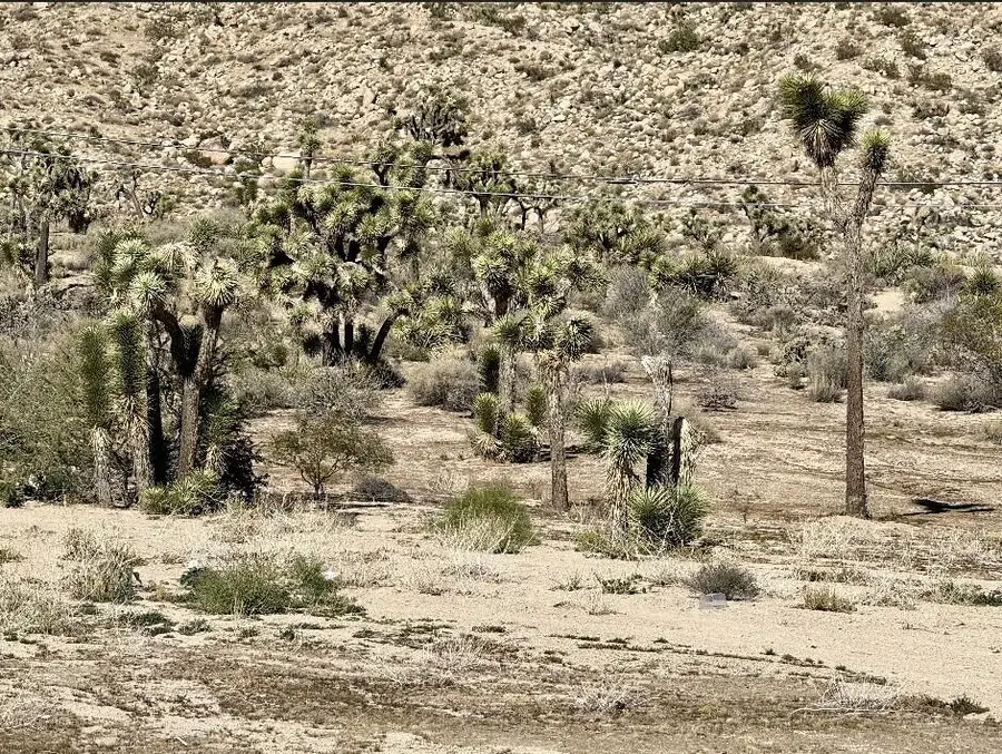 56414 Buena Vista Drive, Yucca Valley, CA 92284 - Image #3