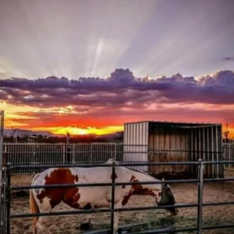 58562 Applegate Way, Landers, CA 92285 - Image #1